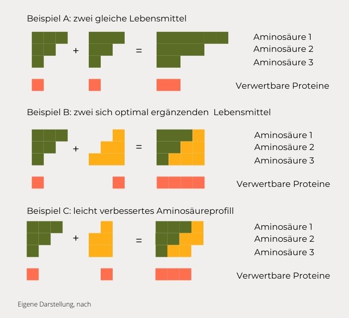 Aufwertung Proteine Eiweiß Aminosäure Vegan Profil